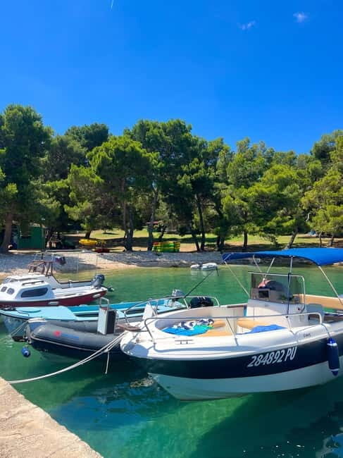 From Medulin: Istria Speedboat Tour with Snorkeling - Key Points