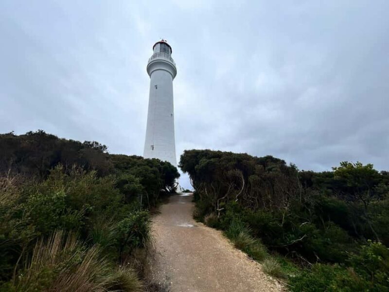 From Melbourne: 12 Apostles & Great Ocean Road Private Tour - The Value of a Private or Small Group Tour