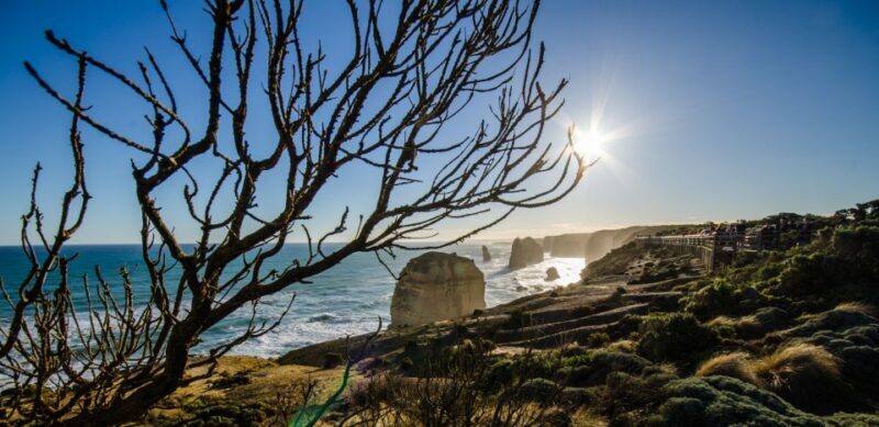 From Melbourne: 2-Day Great Ocean Road & Grampians Escape - Authentic Experiences and Travel Insights