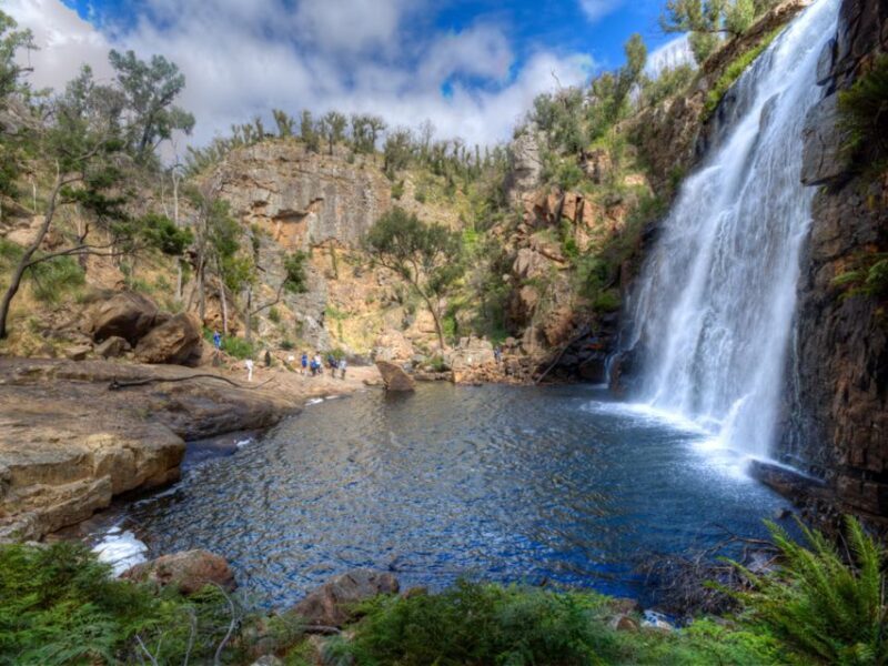 From Melbourne: 3-Day Great Ocean Road Grampians Tour - Authentic Wildlife and Natural Highlights