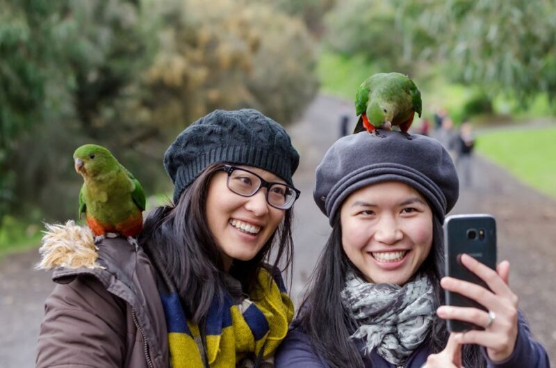 From Melbourne: 3-Day Great Ocean Road Grampians Tour - Final Thoughts: Who Will Love This Tour?