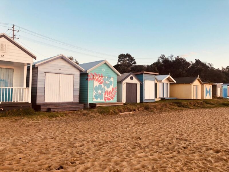 From Melbourne: Bay Sightseeing and Ferry Ride with Lunch - Exploring Melbournes Bay: A Full-Day Adventure with Ferry, Scenic Views, and Cultural Insights