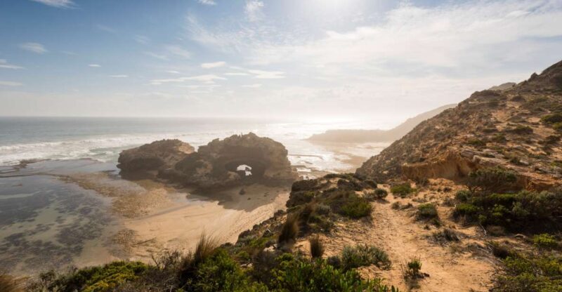 From Melbourne: Bay Sightseeing and Ferry Ride with Lunch - Key Points