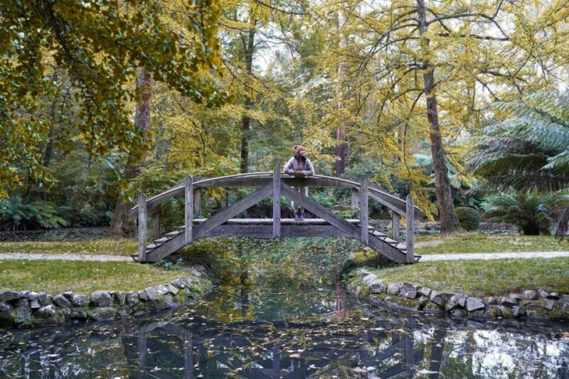 From Melbourne: Dandenong Ranges Private Day Tour - Final Thoughts