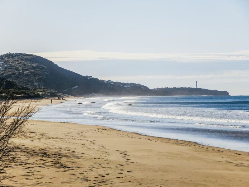 From Melbourne: Great Ocean Road, 12 Apostles, Wildlife Tour - The Sum Up