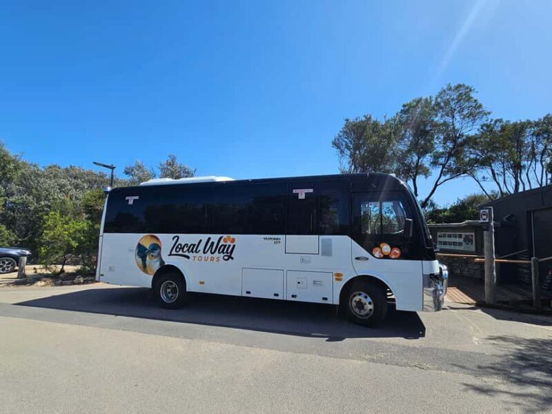 From Melbourne: Great Ocean Road, Dingos, Sparkling & Lunch - Key Points