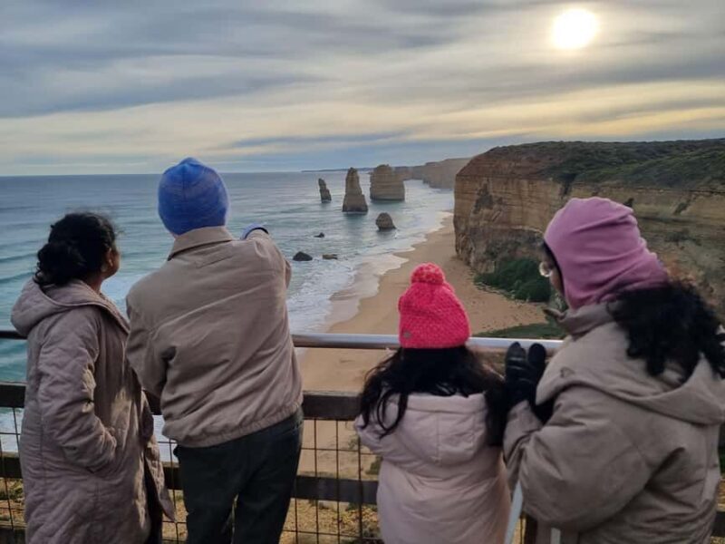 From Melbourne: Great Ocean Road, Dingos, Sparkling & Lunch - Who Will Love This Experience?