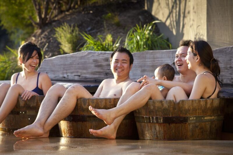 From Melbourne: Half-Day Spa Trip to Peninsula Hot Springs - Key Points