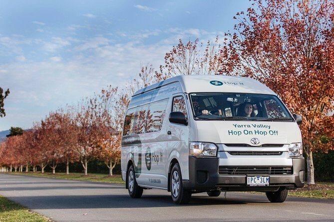 From Melbourne: Hop On Hop Off Yarra Valley - GREEN Route - Cost and Value