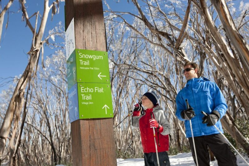 From Melbourne: Lake Mountain Snow Experience - An In-Depth Look at the Lake Mountain Snow Experience