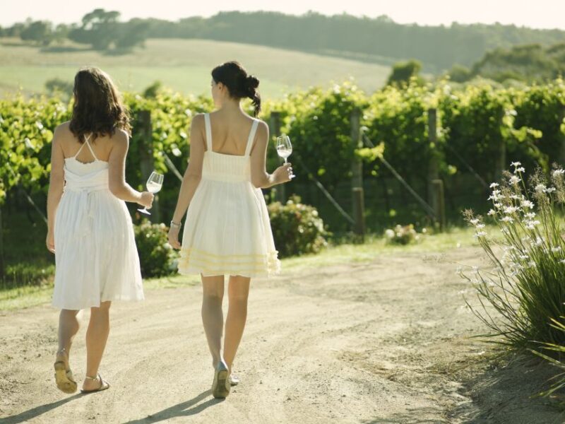 From Melbourne: Mornington Peninsula Food & Wine Taste Trail - The Journey Back to Melbourne