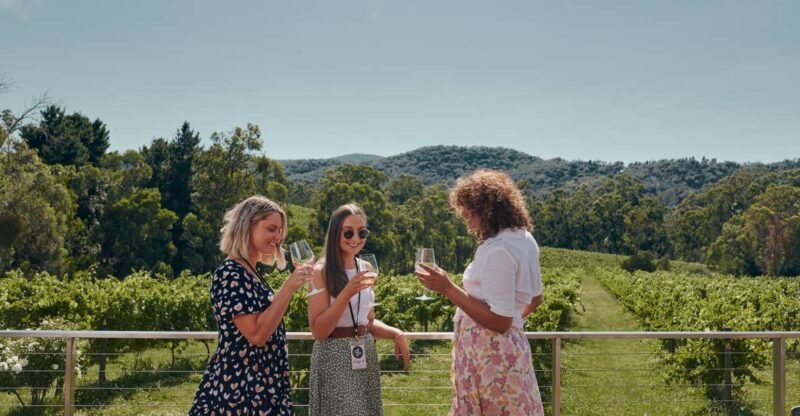 From Melbourne: Mornington Peninsula Hop-On-Hop-Off Bus - Who Will Love This Tour?