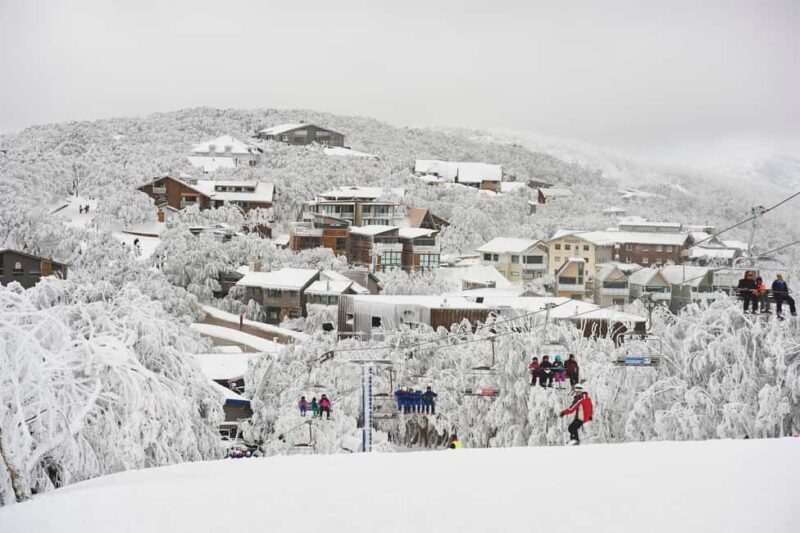 From Melbourne: Mount Buller Day Tour with Resort Entry - Transportation and Logistics