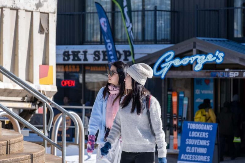 From Melbourne: Mount Buller Day Tour with Resort Entry - The Sum Up