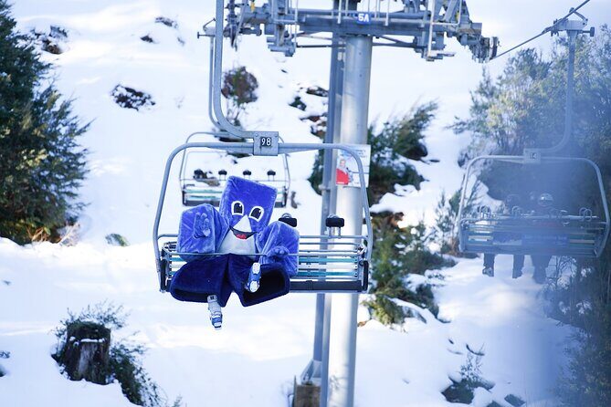 From Melbourne Mt Buller Enchanting Winter Day Tour - What You Get with the Tour