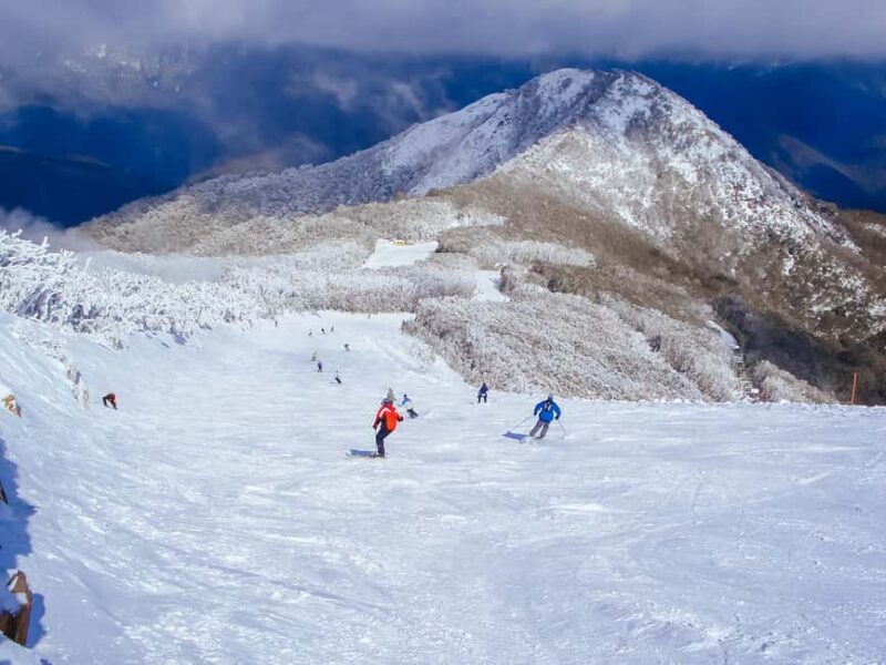 From Melbourne: Mt Buller Scenic Snow Getaway Day Tour - Key Points