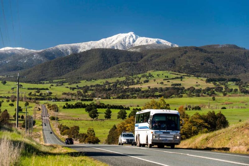 From Melbourne: Mt. Buller Sightseeing Day Trip Transfers - Who will enjoy this tour most?