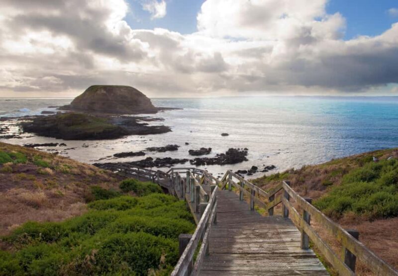 From Melbourne: Penguin Parade, Koalas & Kangaroos - From Melbourne: Penguin Parade, Koalas & Kangaroos – An Honest Look
