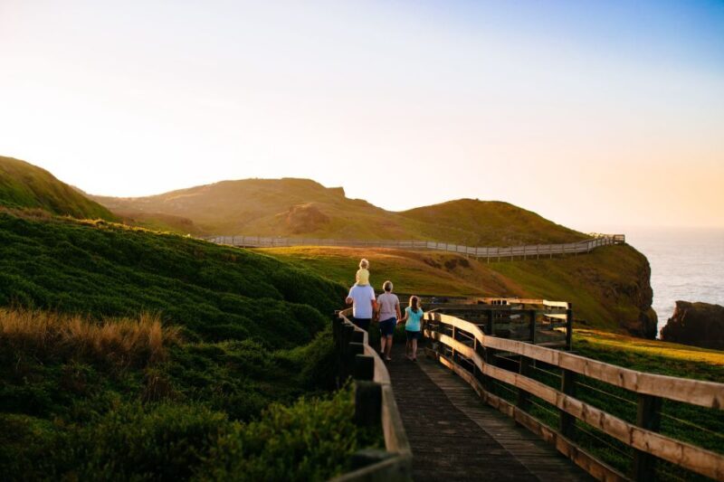 From Melbourne: Penguins and Wildlife Nature Day Tour - Key Points