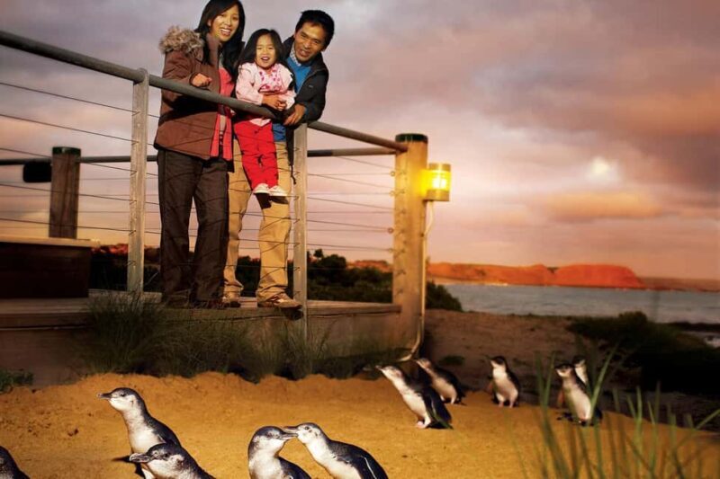 From Melbourne: Phillip Is Penguin Parade & Koala Reserve - Exploring Melbourne’s Wildlife & Coastal Beauty: Phillip Island’s Penguin Parade & Koala Reserve Tour