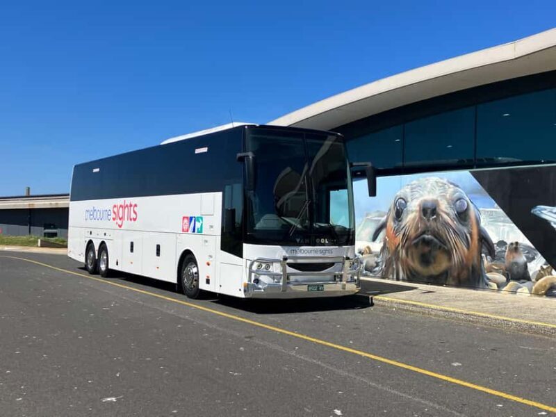 From Melbourne: Phillip Is Penguin Parade & Koala Reserve - FAQ