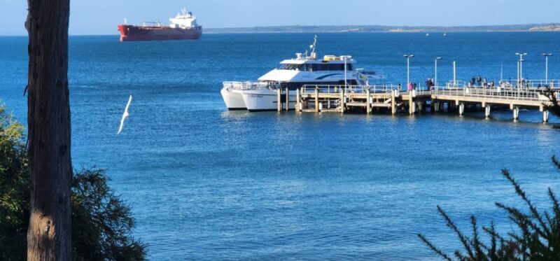 From Melbourne: Phillip Island Penguin Parade Private Tour - FAQ