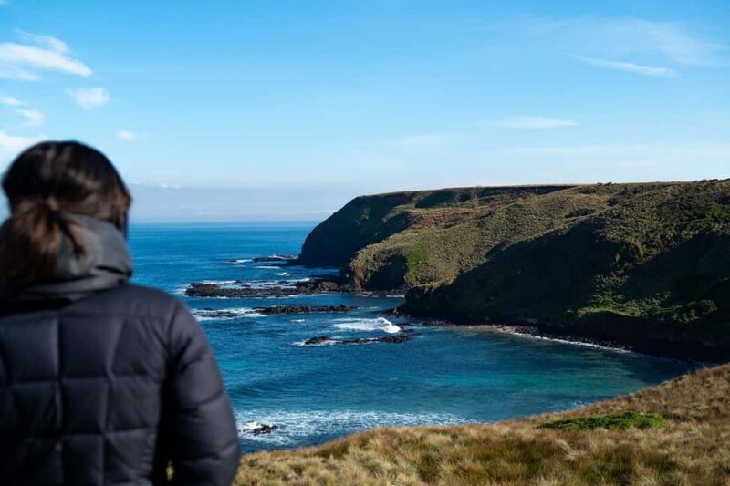 From Melbourne: Phillip Island Penguin Plus - Grandstand - What Travelers Say: Authentic Perspectives