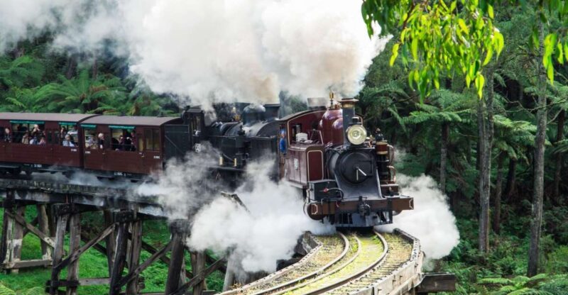 From Melbourne: Puffing Billy and Penguin Parade Combo Tour - The Sum Up