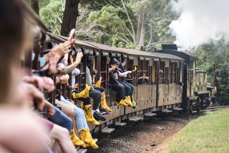 From Melbourne: Puffing Billy Steam Train & Wildlife Tour - The Experience in Detail