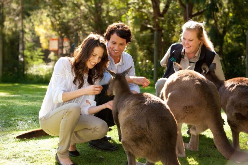 From Melbourne: Puffing Billy Steam Train & Wildlife Tour - FAQs