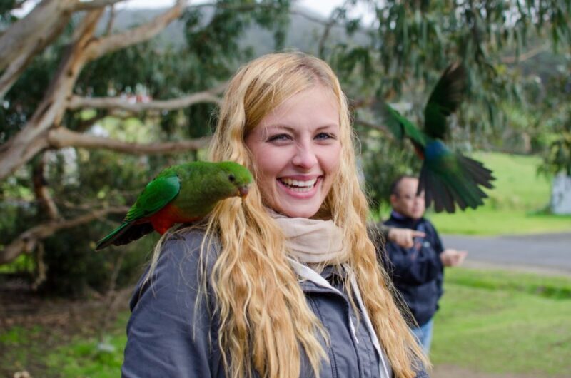 From Melbourne: Reverse Great Ocean Road Day Trip with Lunch - A Detailed Look at the Tour Experience