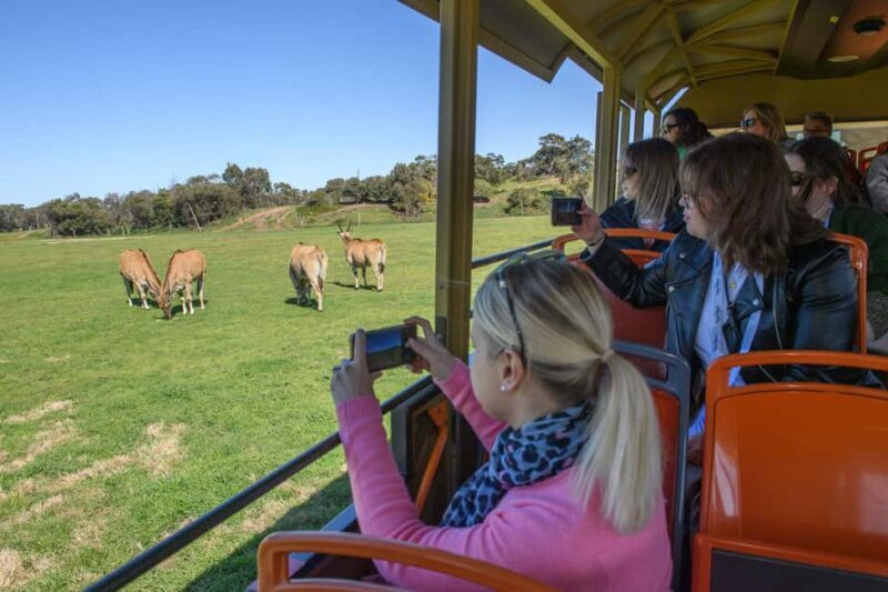 From Melbourne: Werribee Open Range Zoo & Werribee Mansion - Werribee Mansion: A Step Back in Time
