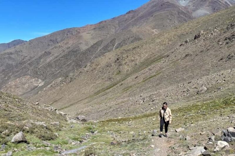From Mendoza: Full day Vallectios Trekking in the Andes - Final thoughts