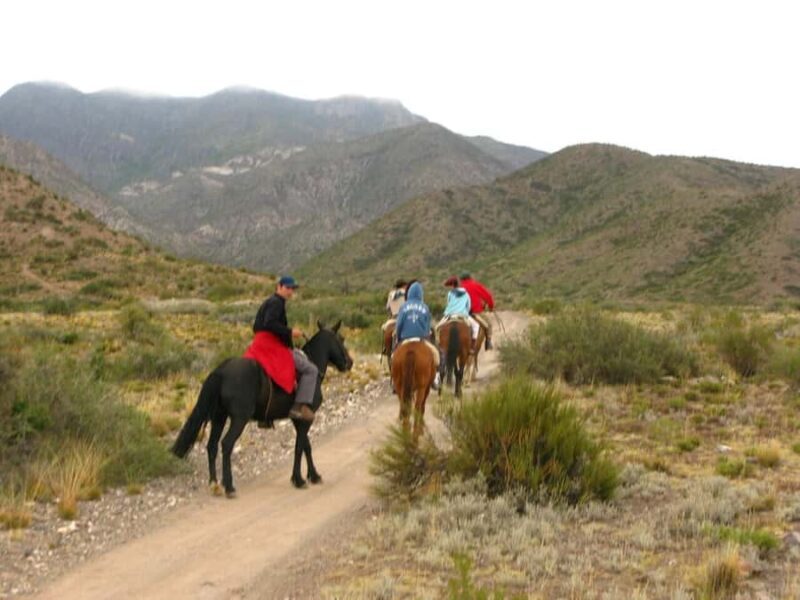 From Mendoza: Sunset Horseback Ride and Asado in the Andes - Who Will Love This Tour?