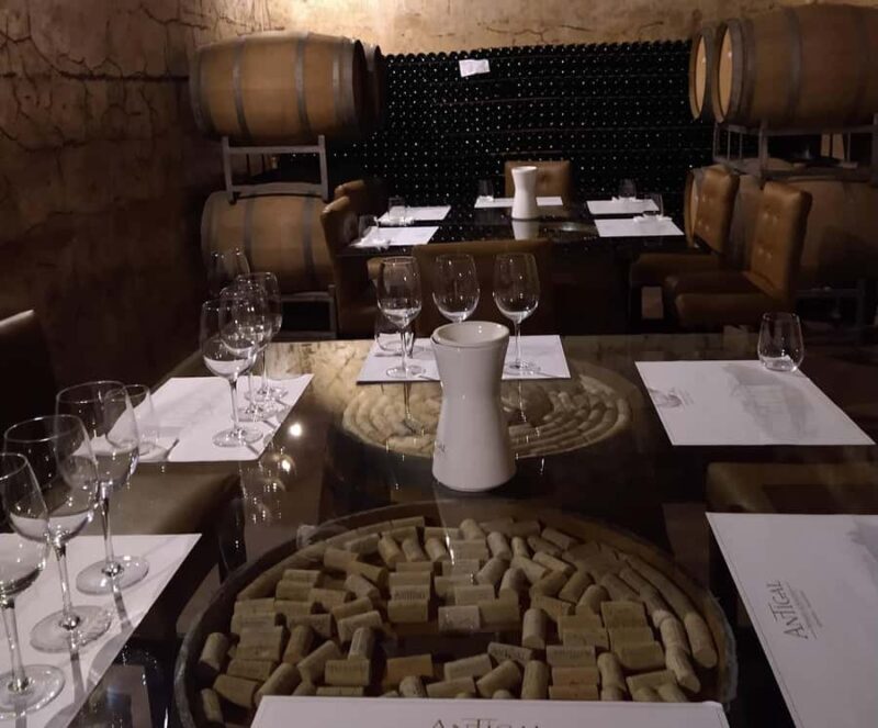 From Mendoza: Tasting tour to Maipu with Trapiche Winery - Additional Details