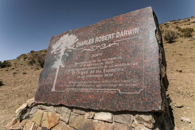 From Mendoza: Villavicencio, Uspallata Private Tour With BBQ - Final Thoughts