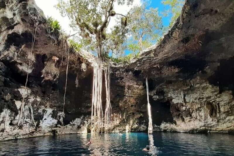 From Merida: 3 Cenotes - An In-Depth Look at the From Merida: 3 Cenotes Tour
