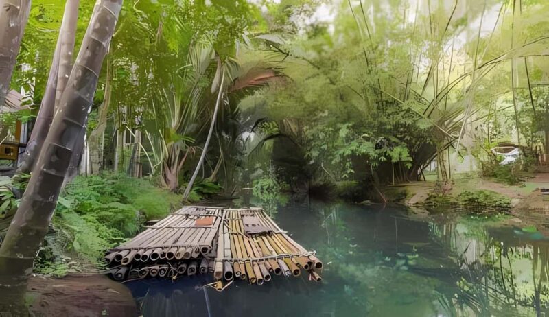 From Merida: Beach, Mangrove and something more - Key Points