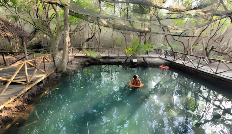 From Merida: Beach, Mangrove and something more - A Comprehensive Look at the Tour Experience