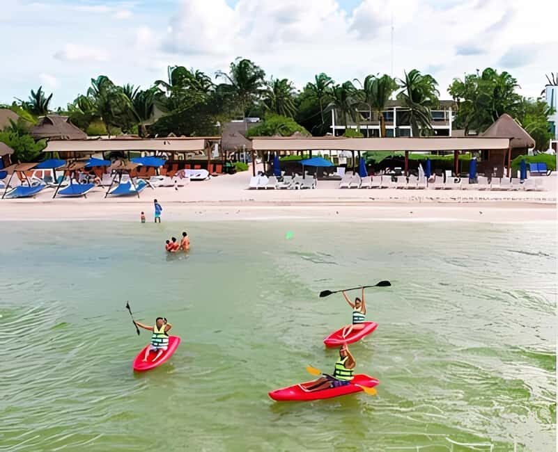 From Merida: Beach, Mangrove and something more - Who Should Consider This Tour?