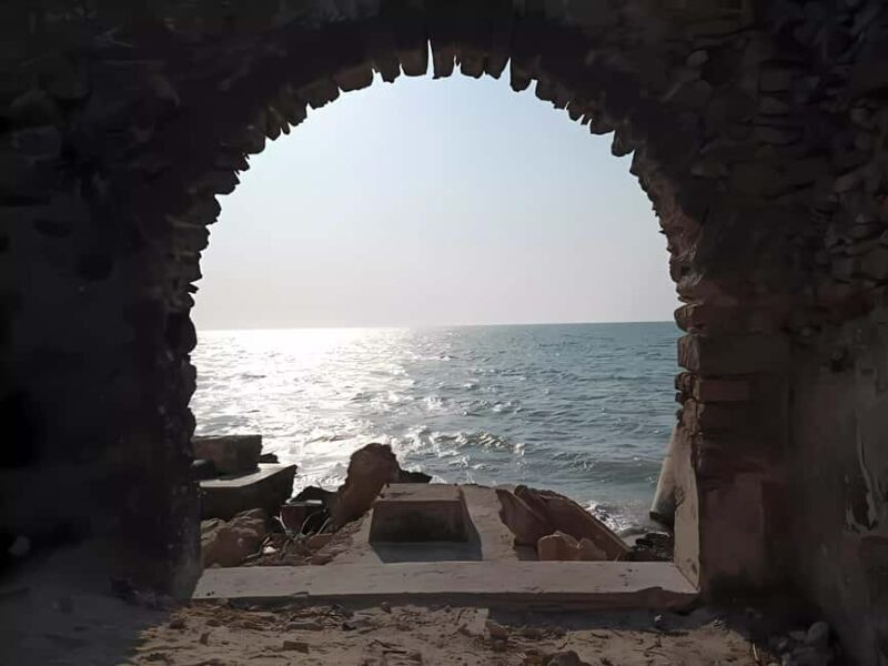 From Merida: Celestun, flamingos and beach - A Deep Dive into the Celestún Experience