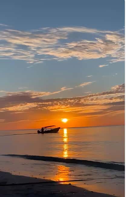 From Merida: Celestun, flamingos and beach - Practical Tips for Your Day