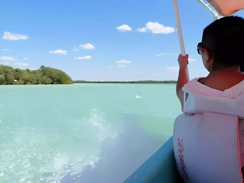 From Mérida: Celestún, flamingos, and the beach - Key Points