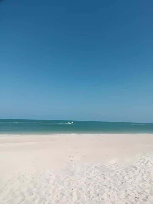 From Mérida: Celestún, flamingos, and the beach - Final thoughts