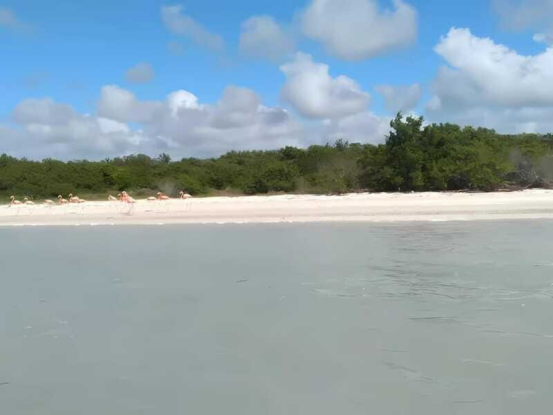 From Mérida: Celestún, flamingos, and the beach - FAQ