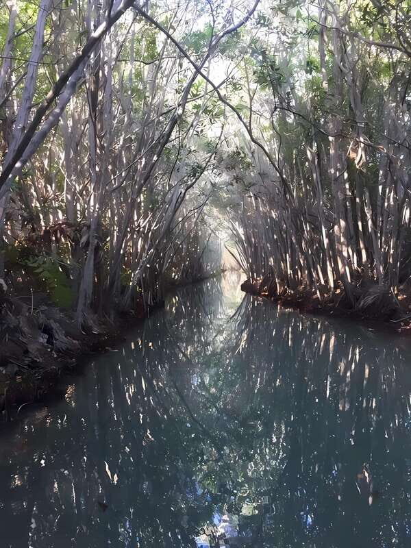 From Mérida: Enjoy nature, cenotes and beach in one day - Key Points