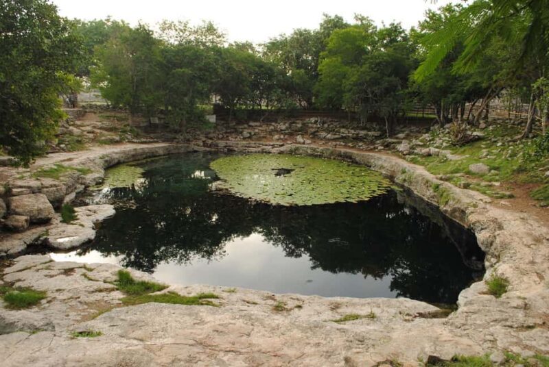 From Mérida: Mayan Dzibilchaltún & Progreso Beach Tour - Who Should Consider This Tour?