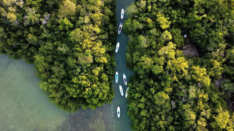 From Mérida: Paddel board, Sunshine and beach - Who Will Love This Tour?