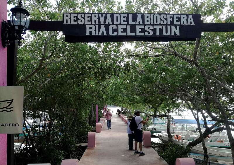 From Mérida: Ria Celestun Biosphere Reserve Tour - An In-Depth Look at the Ria Celestún Biosphere Reserve Tour