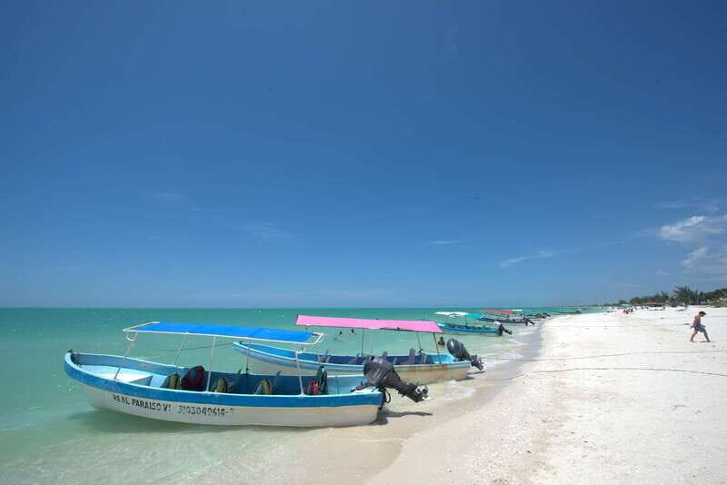 From Mérida: Ria Celestun Biosphere Reserve Tour - Who Should Take This Tour?